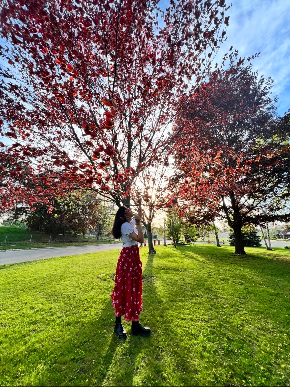 Womens Red Floral Maxi Skirt